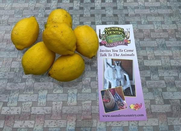 cf_6a4e8afa3403d_lemons[1].jpg